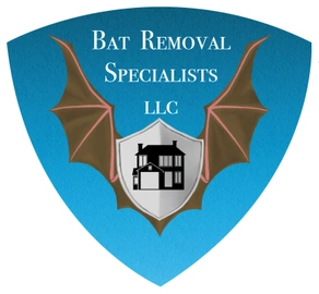 Bat Removal Specialists